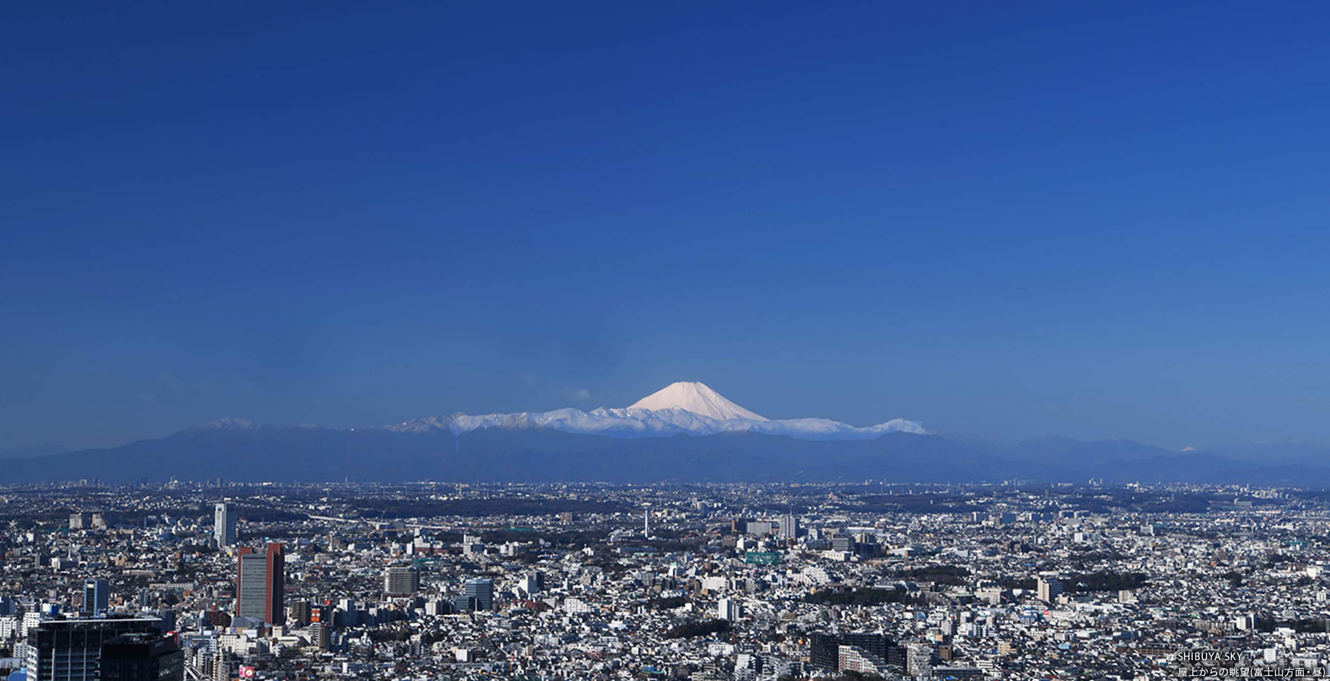 SHIBUYA SKY 屋上からの眺望(富士山方面・昼)